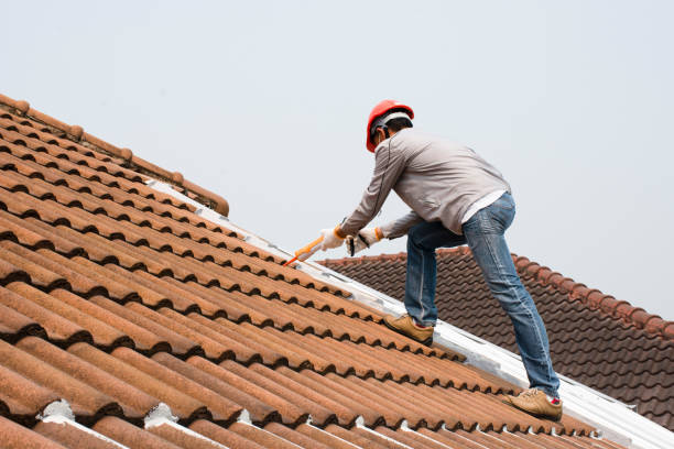 Gutter Replacement in Coal Creek, CO